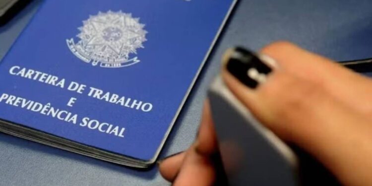 Emprego: Agência do Trabalho oferece vagas em Petrolina, Araripina e Salgueiro