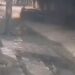 Vídeo mostra momento em que motorista de aplicativo é morto a tiros no Recife; suspeito é preso